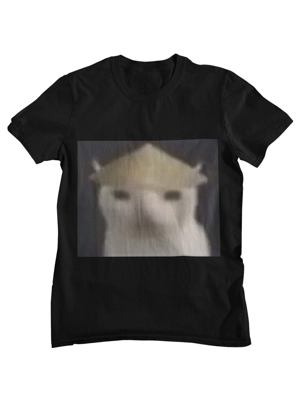 Gato cohete
