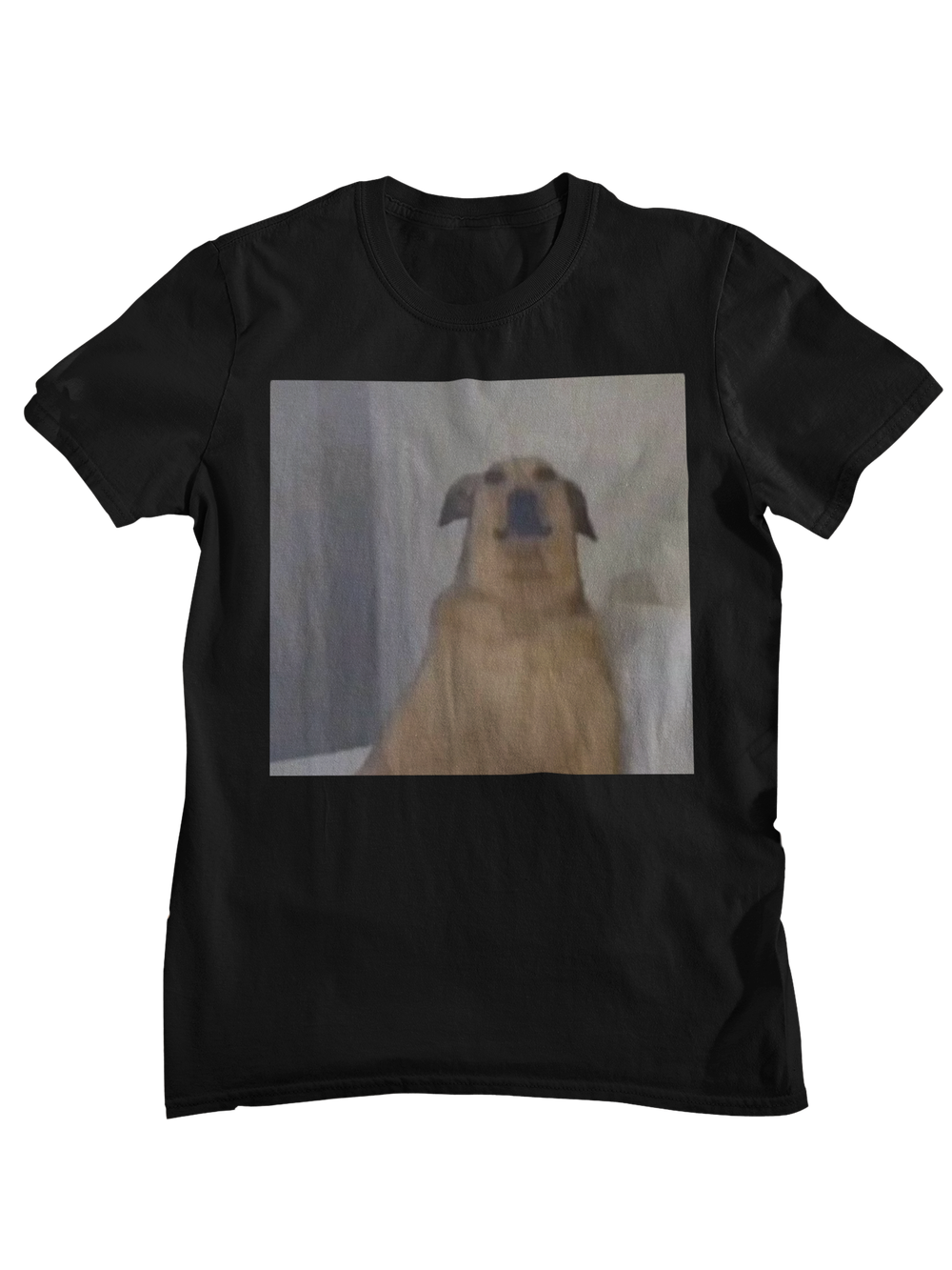 Perro Gustavo