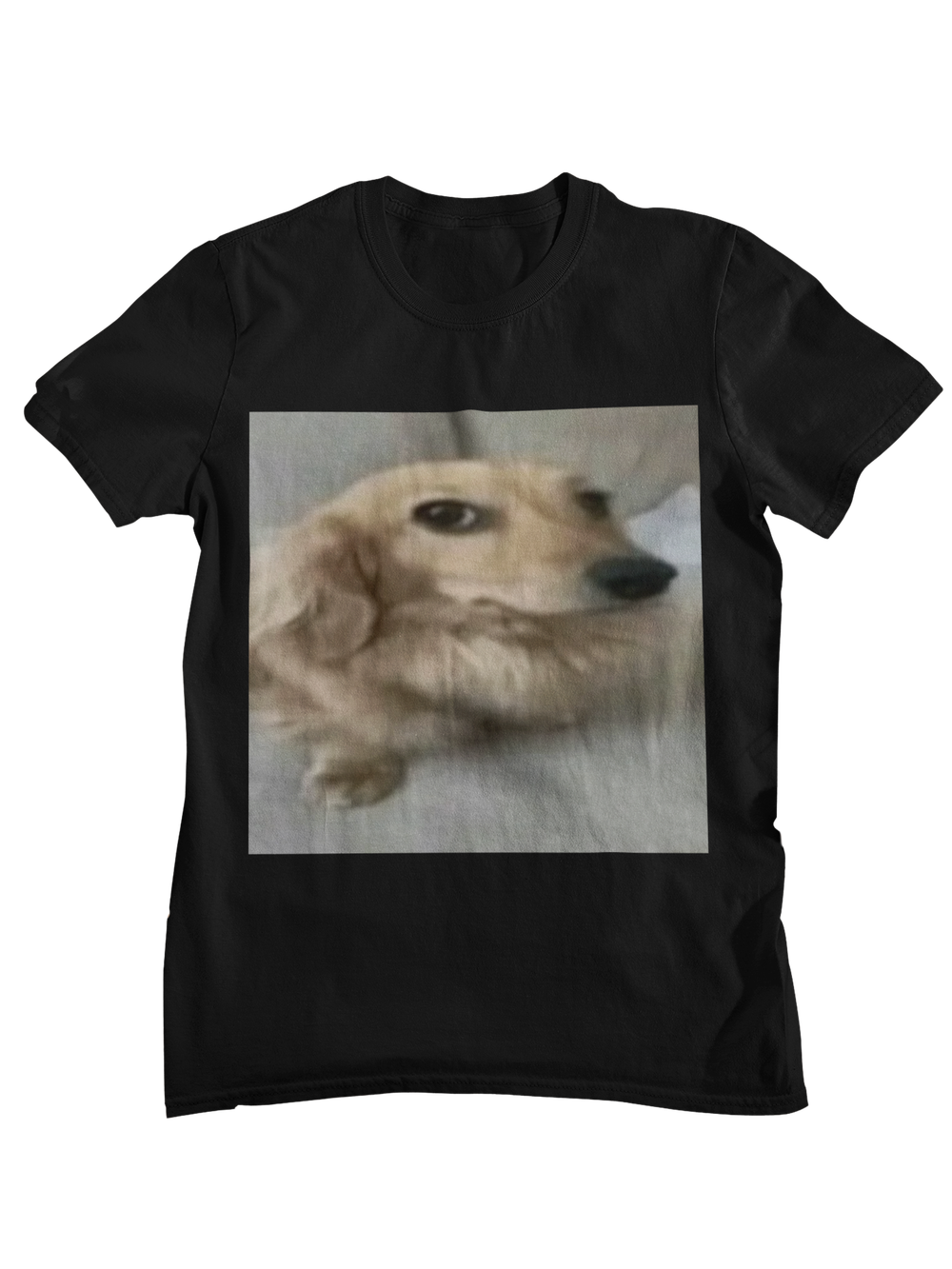Perro incomodo