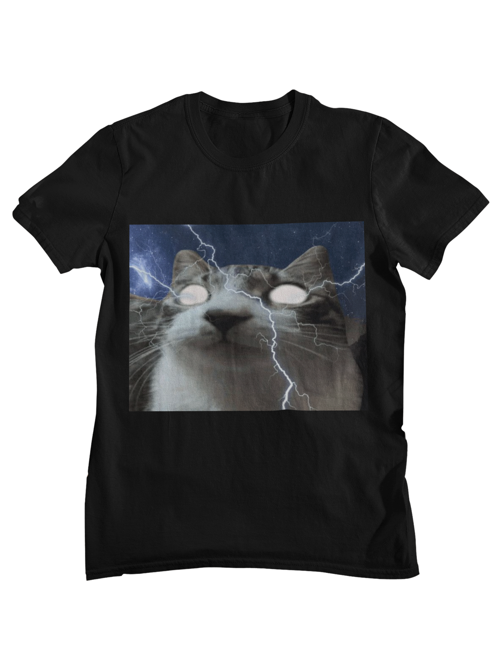 Gato rayos