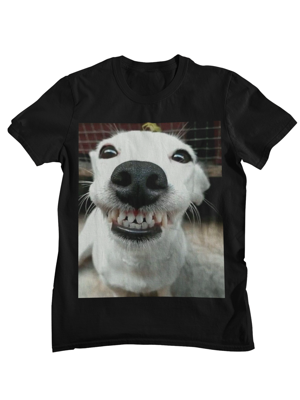 Perro sonriente