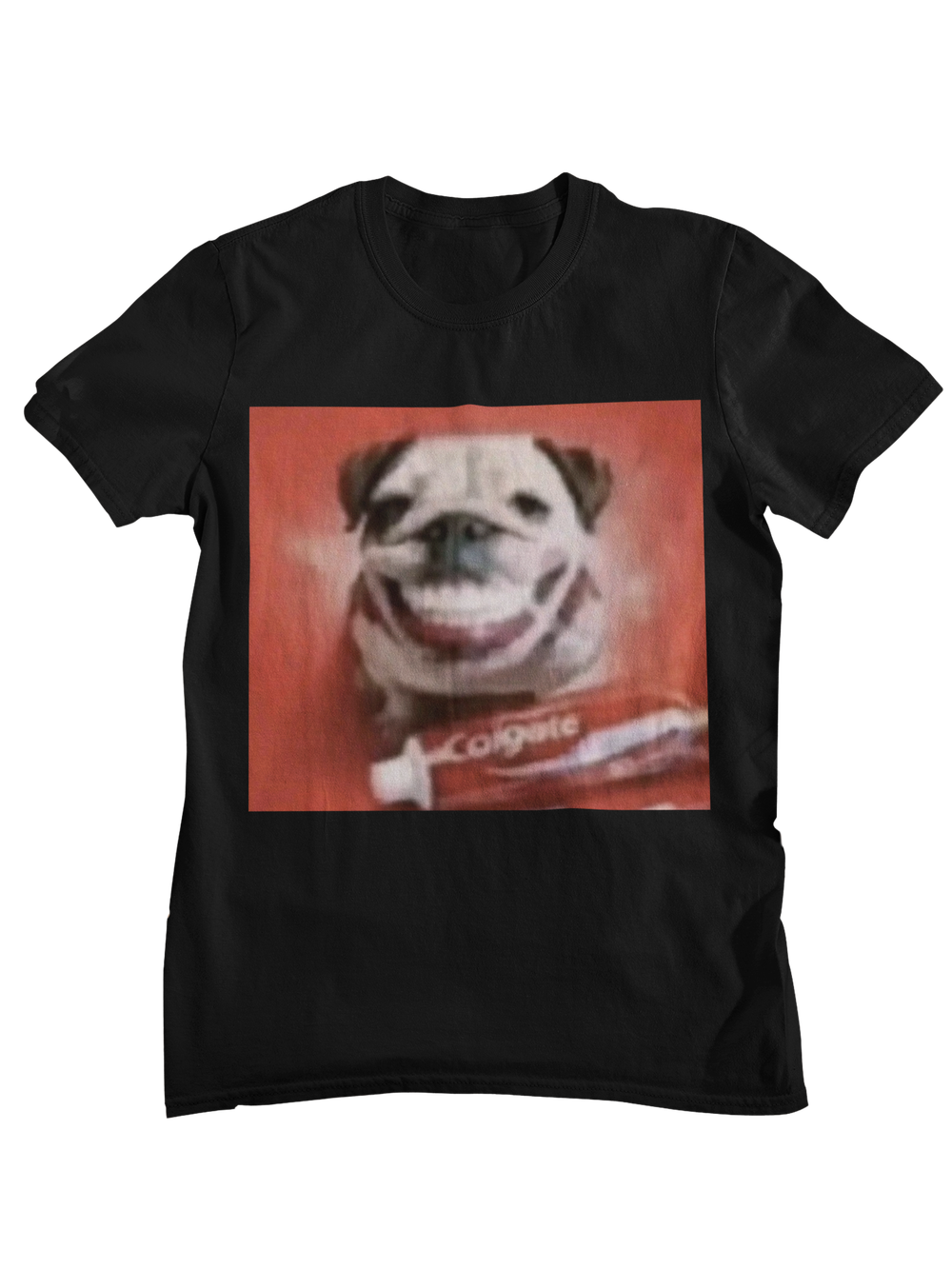 Perro dientes