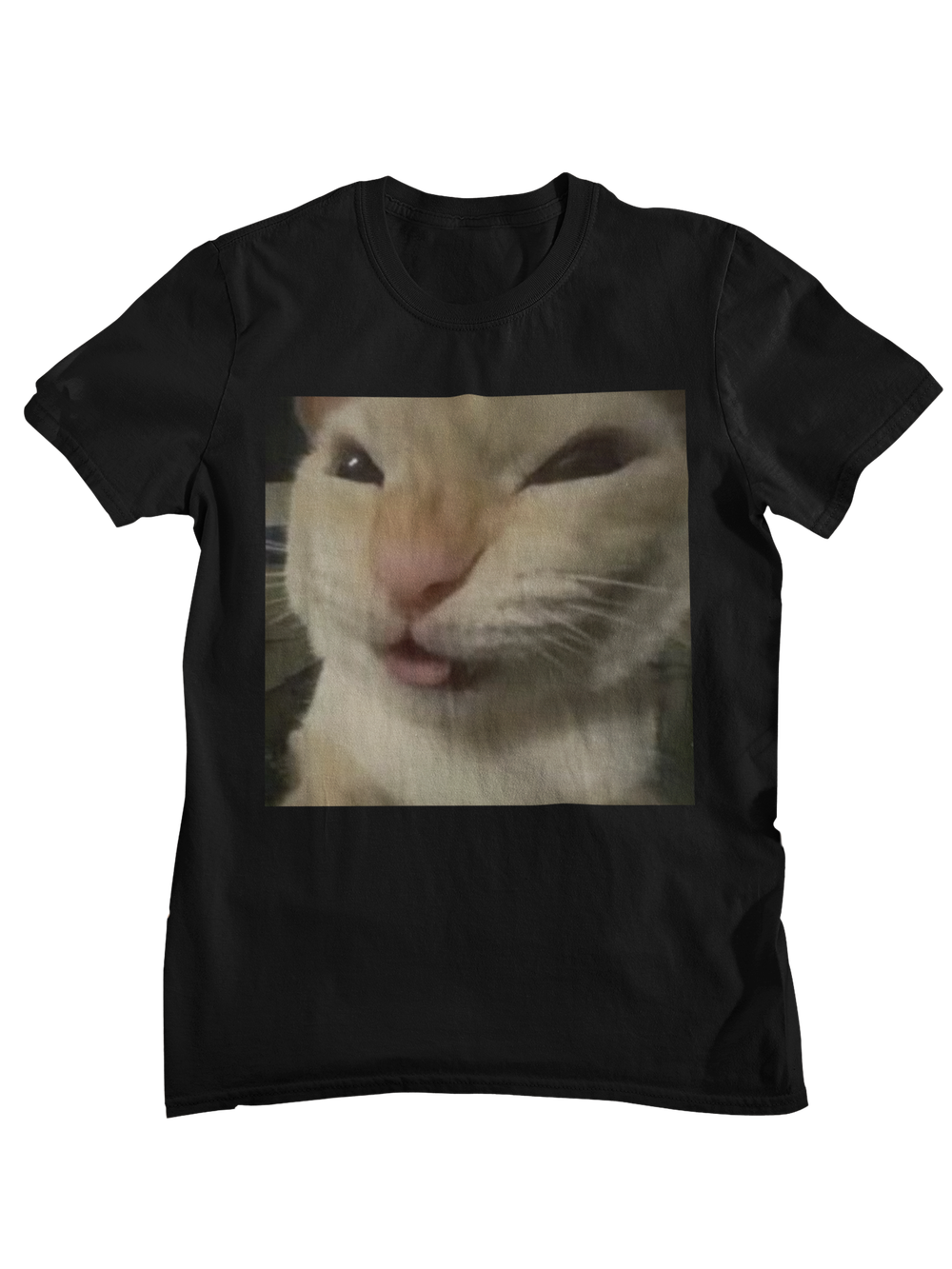 Gato Malvado