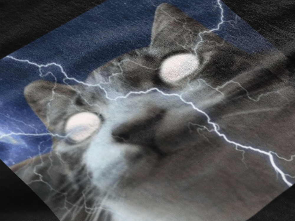 Gato fino
